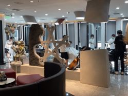 -TOP HAIR SALON