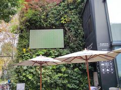 -徐家汇源景区-衡山坊