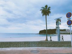 -滨千鸟之汤 海舟