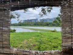 -华侨城湿地公园