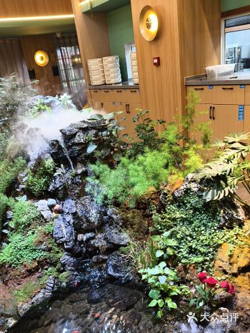 用餐环境也能这么美！菌子火锅