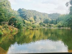 -深圳仙湖植物园