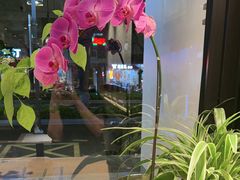 -鑫花溪牛肉米粉(凤凰街创始总店)