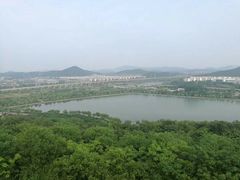 -羊山湖公园