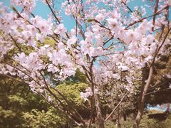 -南山植物园