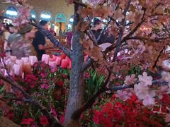-福润德购物中心