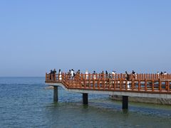 -养马岛旅游度假区