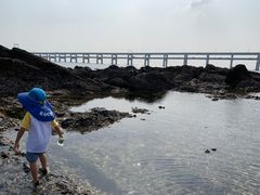 -黑石礁公园