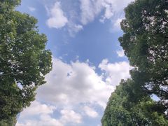 -树山生态村