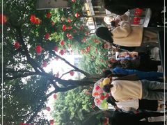 -王浩儿纪六孃甜皮鸭(东大街店)