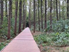 -同里国家湿地公园