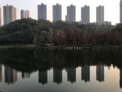 -重庆彩云湖湿地公园