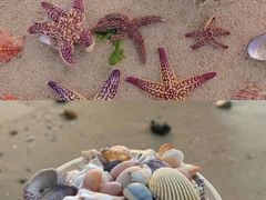 -巧克力渔家.小船海鲜胶东菜(万平口店)