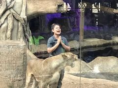 -清迈夜间动物园