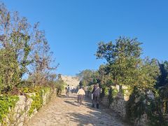 -原山国家森林公园