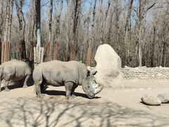 -北京野生动物园