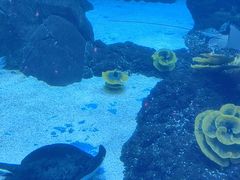 -成都浩海立方海洋公园