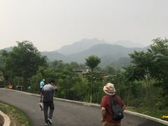-欢乐松鼠谷