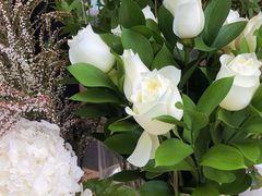 -Canada Goose加拿大鹅(北京三里屯太古里店)