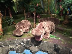 iphone_upload_pic-济州岛泰迪熊博物馆