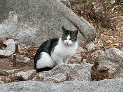 -崂山九水游览区