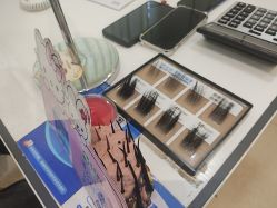 -碧莲盛·不剃发植发