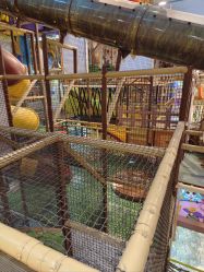 -卡通尼·Safari非洲探索乐园·生日会(金桥国际商业广场店)