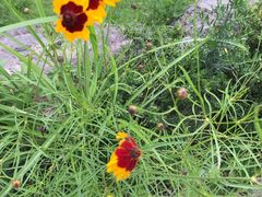 gu➋-优游吧斯邹族文化部落