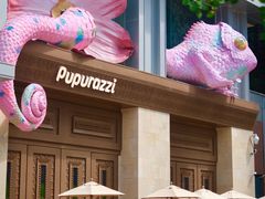 -帕帕拉兹宠物(亚洲旗舰店)