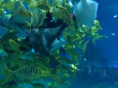 -常州海昌海洋探索馆