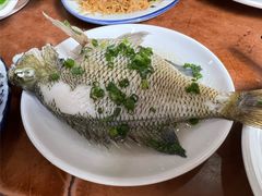 太阳鱼-万兴菜馆(龙华店)