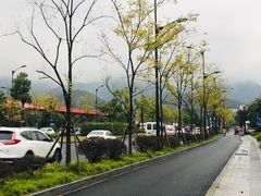-同人紫荆文体中心·游泳馆(紫荆大厦店)