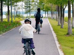-阳澄湖半岛旅游度假区