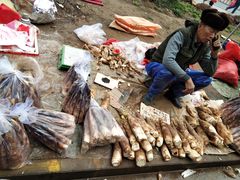 -长兴慧子土特产茶行