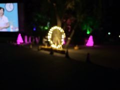 -枫花园汽车电影院(朝阳公园店)