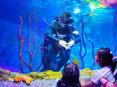 -沈阳海洋探索中心