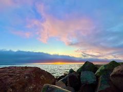 -香港东海海鲜酒家