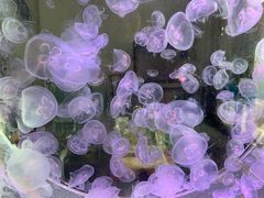 -杭州长乔极地海洋公园