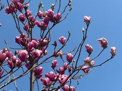 -莲花茶都(莲花路店)
