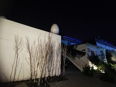 -贺秦生陕面王(富力城店)