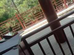 -西安曲江寒窑遗址公园