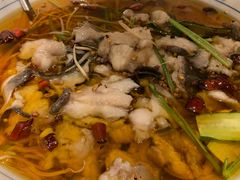 江鱼做水煮鱼-渝信川菜(工体店)