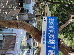 -美人鱼悬崖海景餐厅(鹿嘴山庄店)