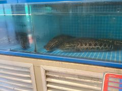-鱼遇木桶斑鱼火锅(塔湾店)