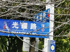 -高东镇樱花园