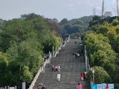 -铁山坪森林公园