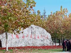 -上海海湾国家森林公园