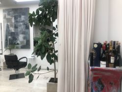 -Hair  Gallery