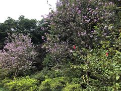-云溪植物园