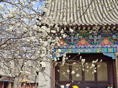 -护国法轮寺